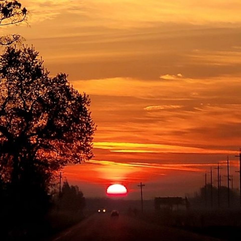 Meet your Posher, Jodi